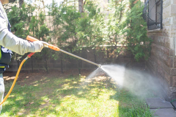 Best Bed Bug Extermination  in Powells Crossroads, TN