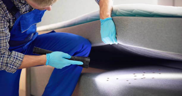 Best Pest Inspection Near Me  in Powells Crossroads, TN