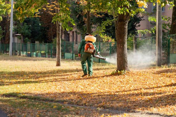 Best Flea Control Services  in Powells Crossroads, TN