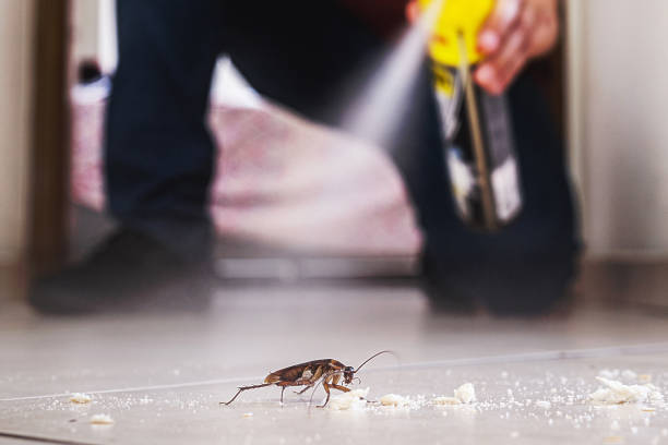 Best Pest Control for Homes  in Powells Crossroads, TN